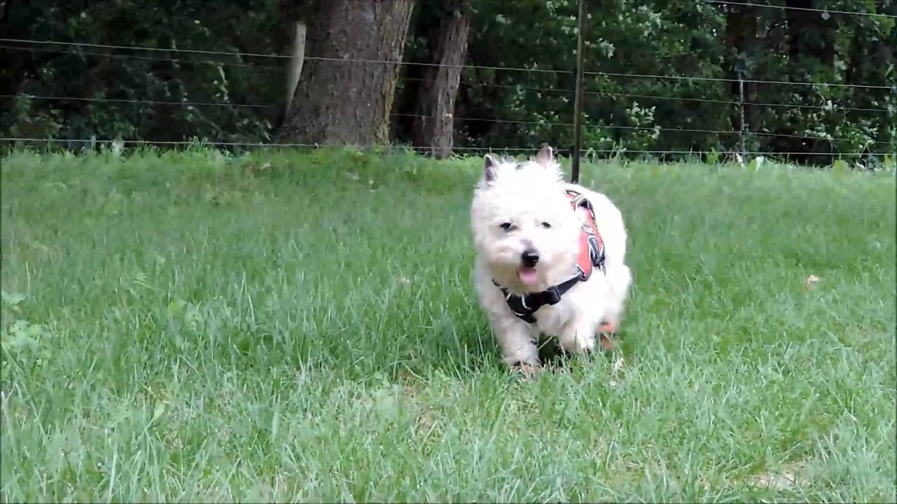 Walking towards Dad