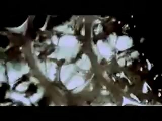 çilekeş kendimden geriye