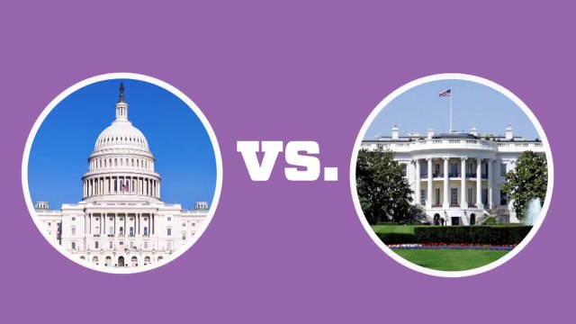 Can Speaker Boehner really sue President Obama?