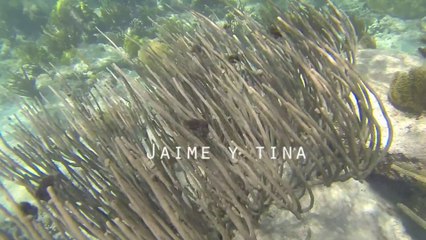 Kiteboarding in Xpu Ha beautiful beach near Playa del Carmen