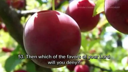 Junaid Jamshed Surah Rahman Mishary Rashid Al Afasy