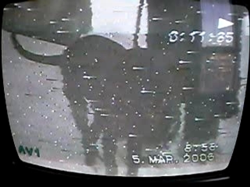 Vidéo (5)