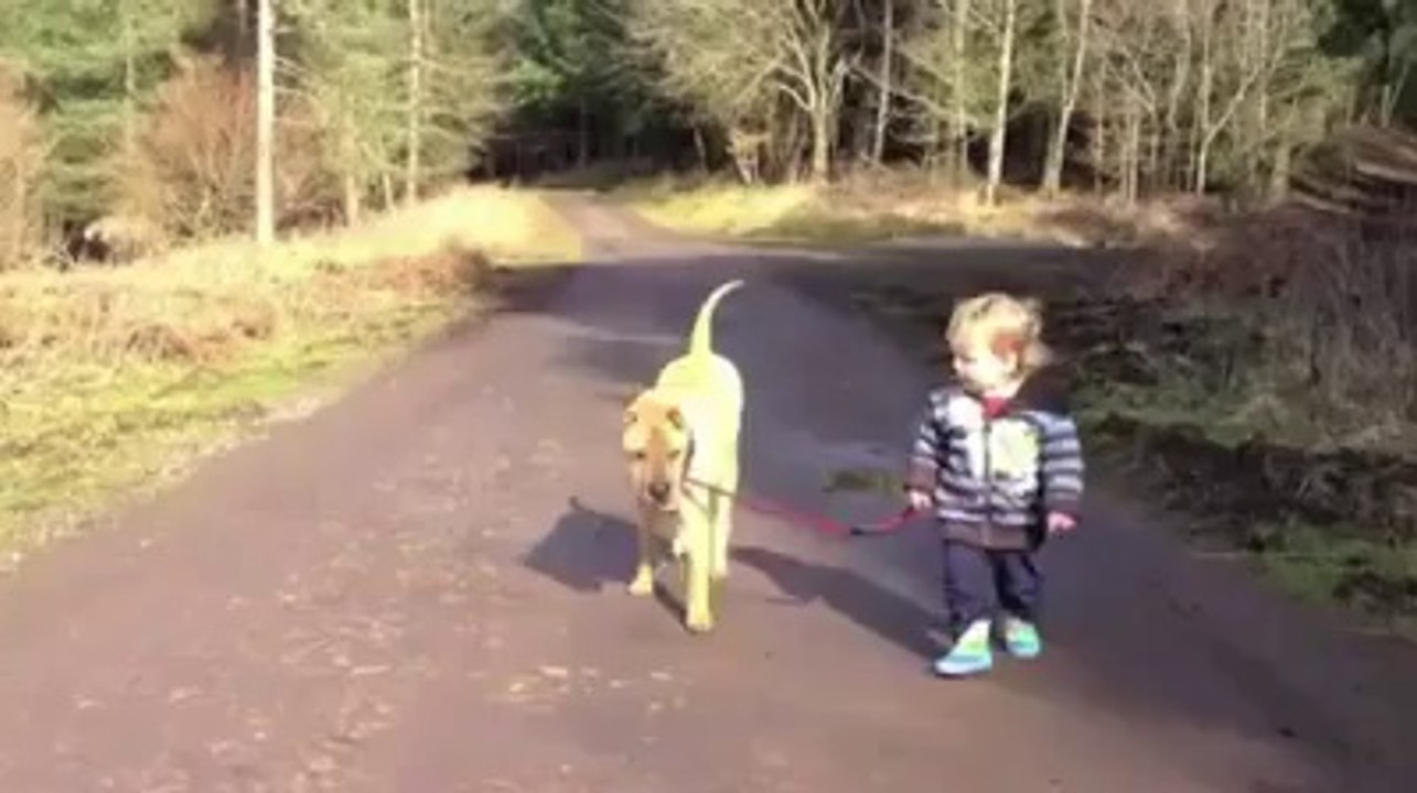 kids n dog
