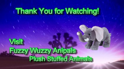 African Elephant Animal Quiz