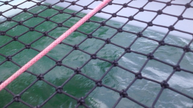 Actual prépare la route du Rhum