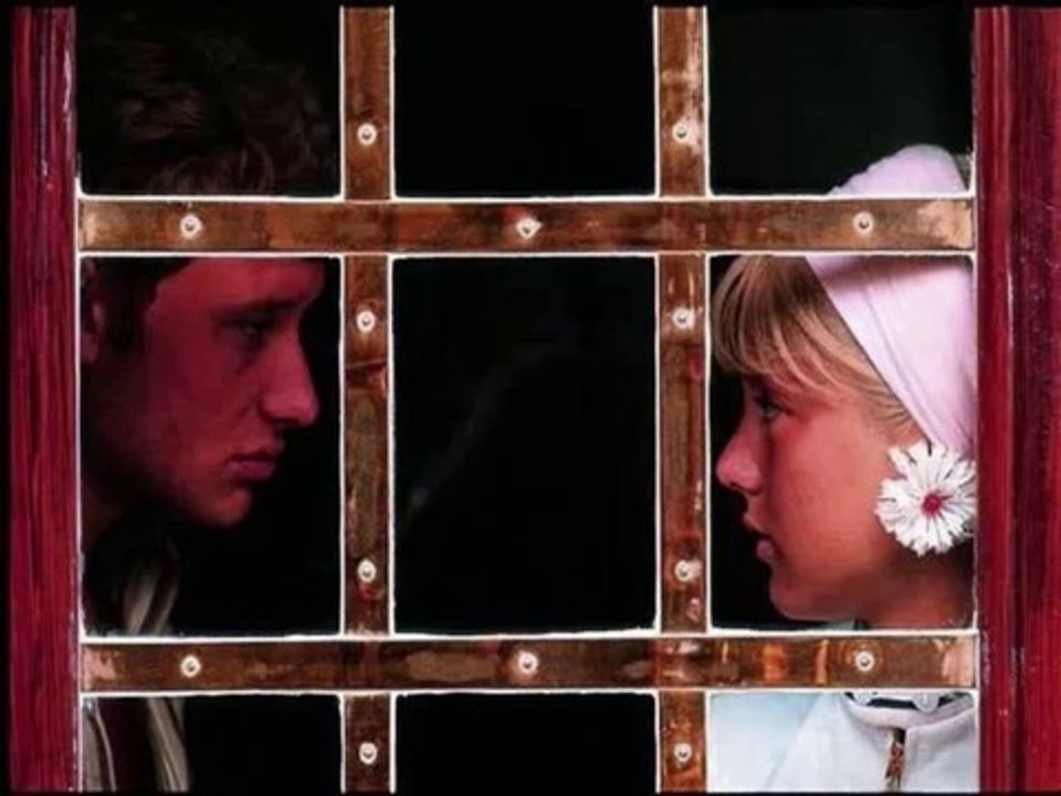 JOHNNY HALLYDAY - L'ENVIE