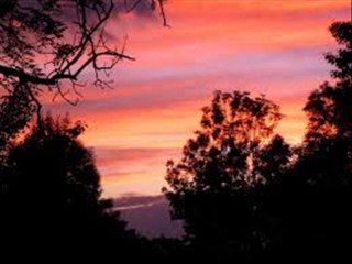 If I Could Be With You One Hour To-Night-Bert Hirsch HOW Orch.