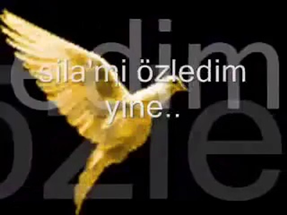 ALİ ASKER İLKAY AKKAYA OY DAGLAR