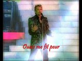 JOHNNY HALLYDAY - QUELQUES CRIS (Concert à la Tour Eiffel 2000)