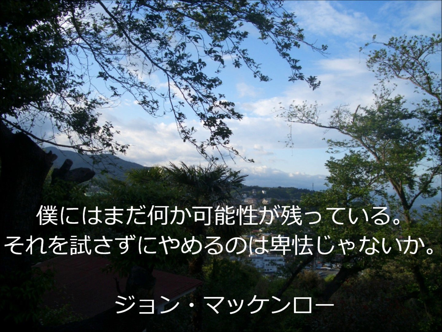 イメージカタログ オリジナル ジョン カビラ 名言