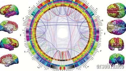 LA FISICA QUANTISTICA AFFERMA CHE L'ANIMA ESISTE