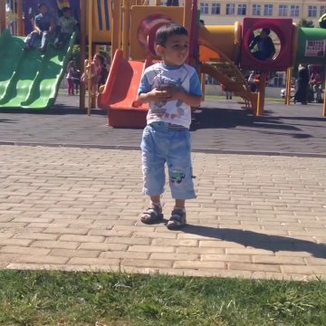 nizipevdenevetasimacilik.com nizip evden eve taşımacılık nakliyat