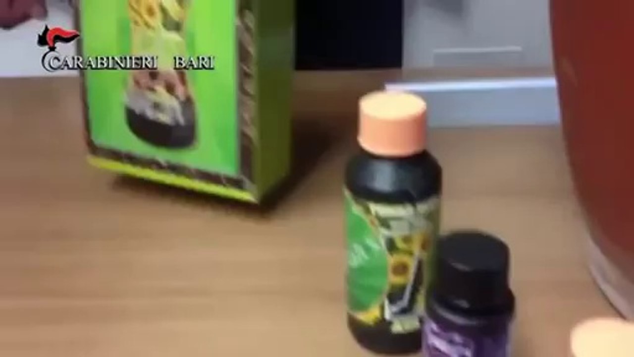 Castellana (BA) - Coltivava e deteneva droga, arrestato (27.06.14)