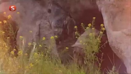 Şefkat Tepe 157.Bölüm 2.Fragmanı izle - Fragmanlarizle.org