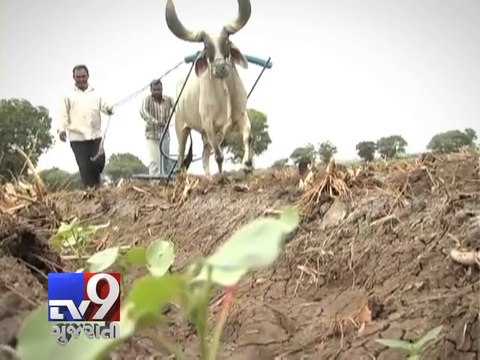 Changes in Monsoon pattern due to Global Warming and El nino, Navsari - Tv9 Gujarati
