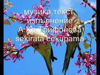 Ne si kraia na sveta