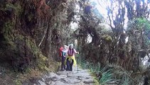 Camino del Inca a Machu Picchu