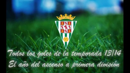 La temporada del ascenso a primera división || Todos los goles (13/14)