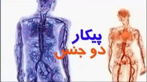 زن یعنی جنس پرست؛ گوینده به زنها میگوید خانمها اما به مردان نمیگوید آقایان