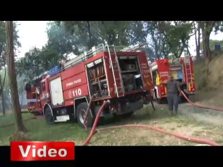 Fethi Paşa Korusun'da yangın