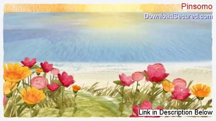 Pinsomo Reviewed - Hear my Review [2014]