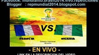 Ver partido Francia vs Nigeria En Vivo Mundial Brasil 2014 30 de Junio 2014