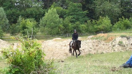 air de famille 1er entrainement fixe juin 2014
