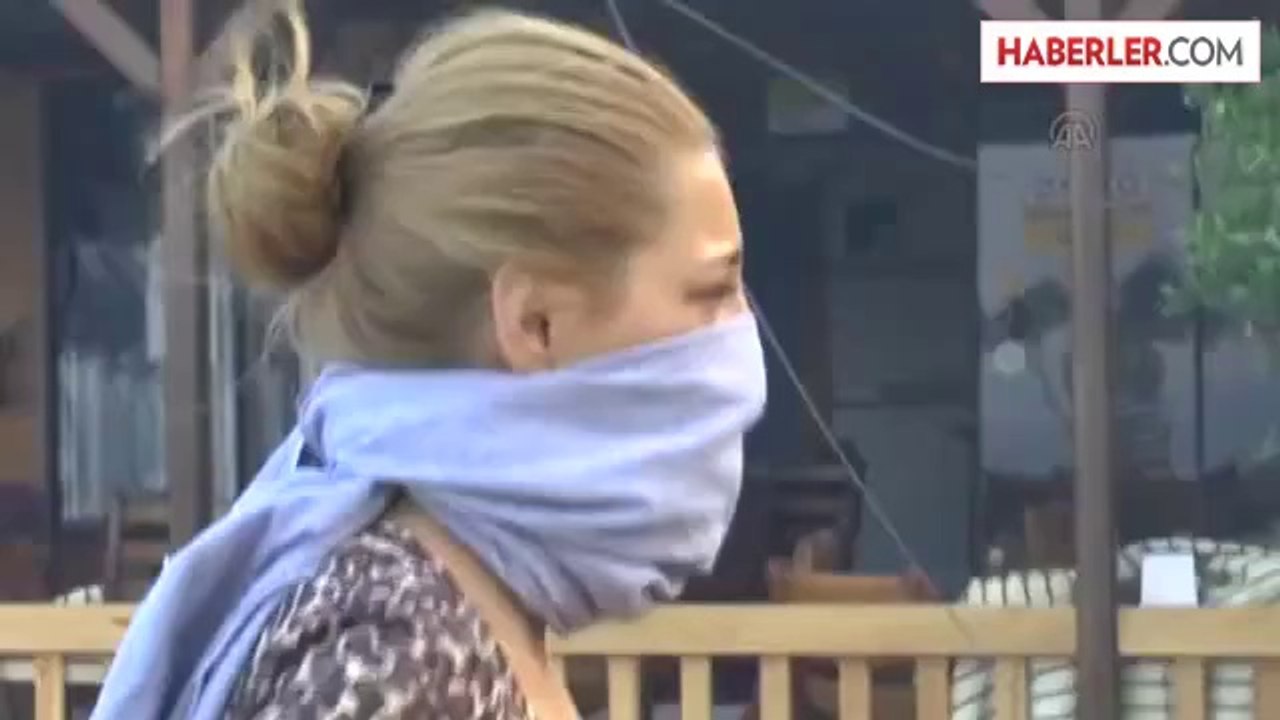 Orman yangını -