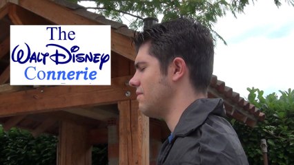 Testeur System embauché à Walt Disney?