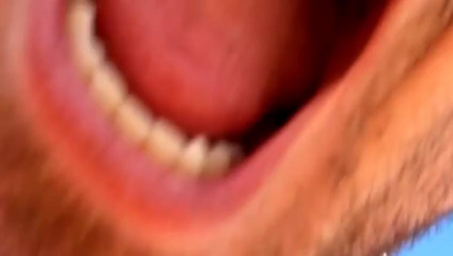 Throwing Branch Fail - Fails World