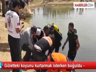 Gölette Kaybolan Çobanın Cesedine Ulaşıldı
