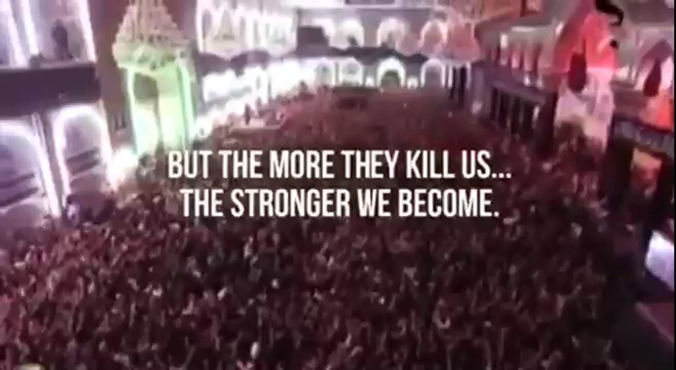 We are Ali's Shia