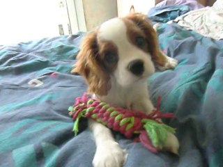 Petite Juliane joue sur le lit