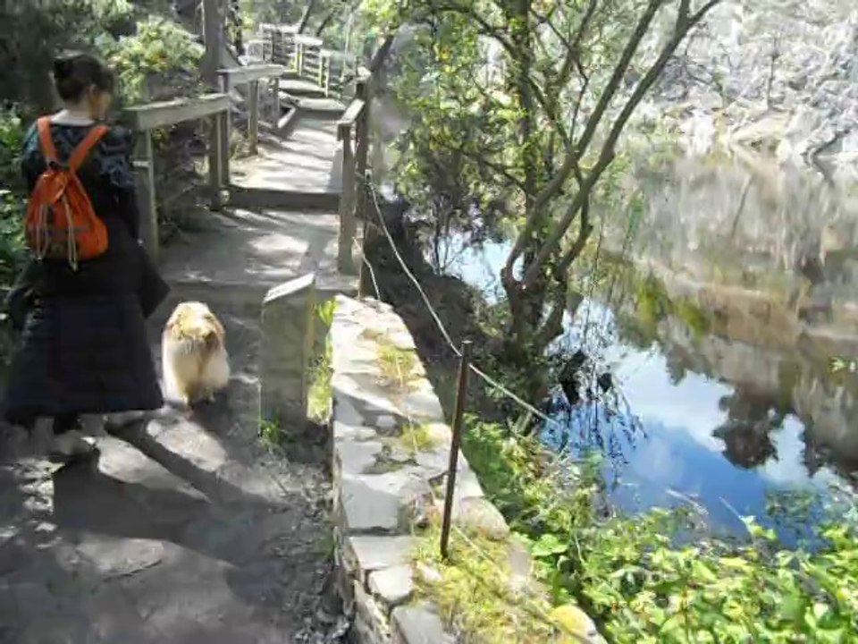 viens avec moi :vera