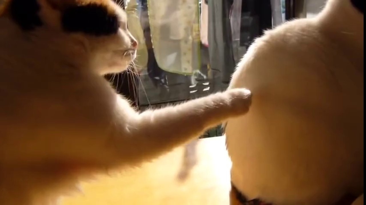 Şişşşt Kime Diyorum Hemşerim Ben :)