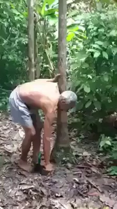 Have You Seen Old Man Like Him