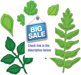 Best Deals Spellbinders Shapeabilities Dies Foliage Review