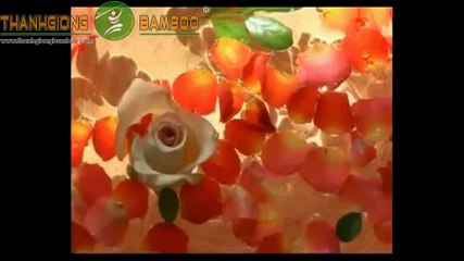 VÁN SÀN TRE - VTC7 TIỀM NĂNG TRE CÔNG NGHIỆP VIỆT NAM