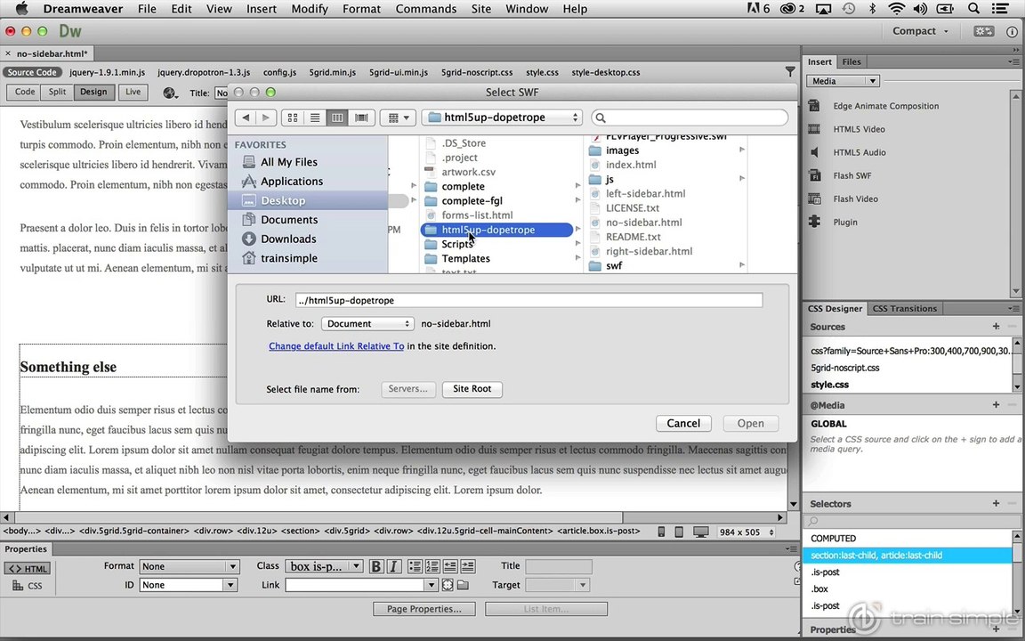 Video, Audio, and Plug-ins Adding Flash (SWF)
