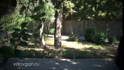 Владимир Довгань. Физиология.