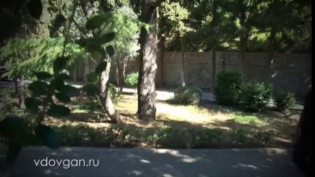 Владимир Довгань. Физиология.