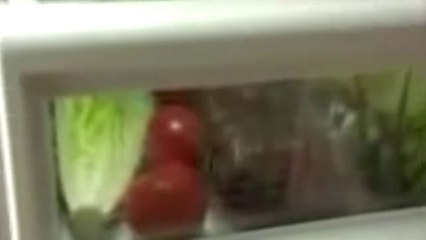 Поглотитель запаха для холодильника «Fridge Balls»