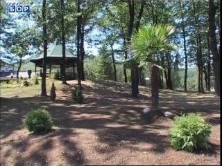 Budilica gostovanje (Violeta Vučković), 29. jun 2014.