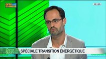 Spécial Transition énergétique: Sabine Buis, Nicolas Garnier, Guy Auger, Daniel Bour et Arnaud Gossement, dans Green Business - 29/06 3/4