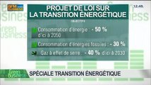 Spécial Transition énergétique: Sabine Buis, Nicolas Garnier, Guy Auger, Daniel Bour et Arnaud Gossement, dans Green Business - 29/06 4/4