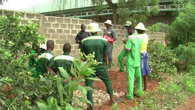 في بنين، مزرعة عضوية كنموذج لأفريقيا