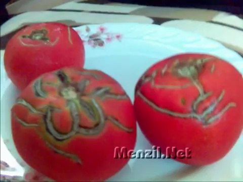 {Mucizeler Müzesi} Domateslerin üzerinde yazan ALLAH lafzı