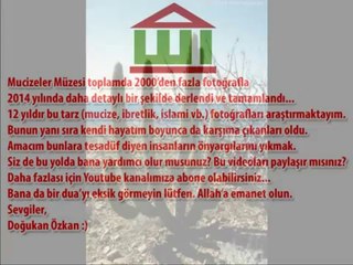 {Mucizeler Müzesi} Kaktüslerin gövdesi ALLAH yazıyor
