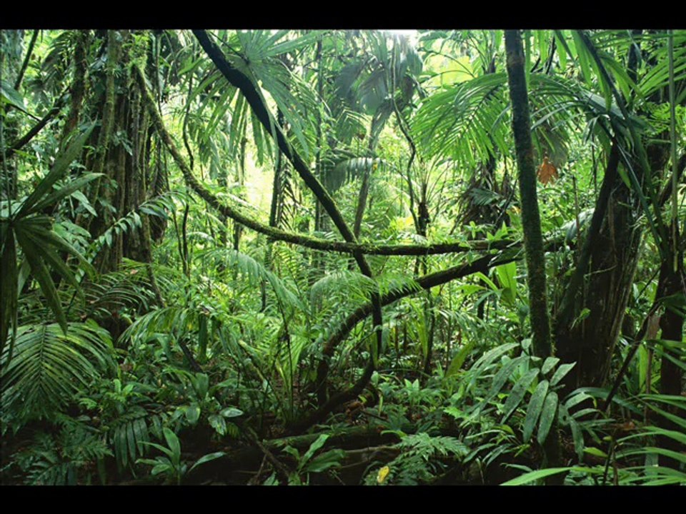 Earth Song (Michael Jackson) - Instrumental by Ch. Rössle