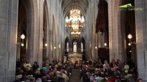 Festival des Hautes Terres : Orgue et Bombarde